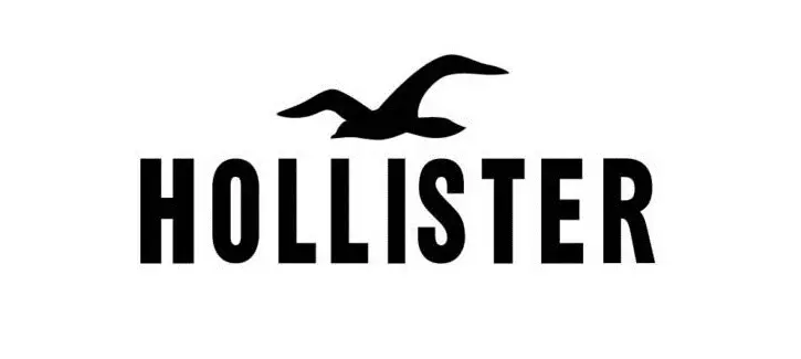 Hollister return 