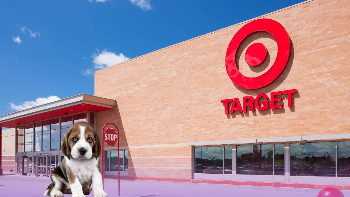 Are Dogs Allowed In Target (Target Store Pets Policy)