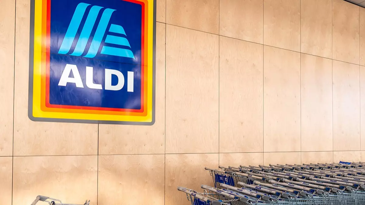 Aldi Shopping Cart: How To Use, Hack and Other Tips